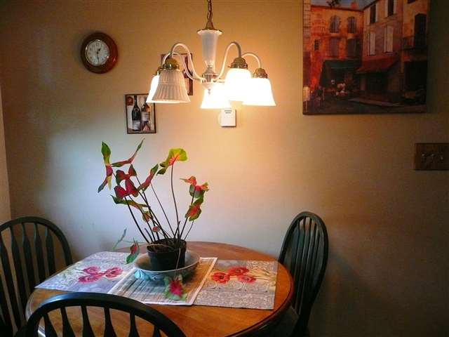 3904 W Northwest Blvd - Photo 5