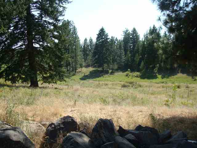 21325 W Four Mound Rd - Photo 8