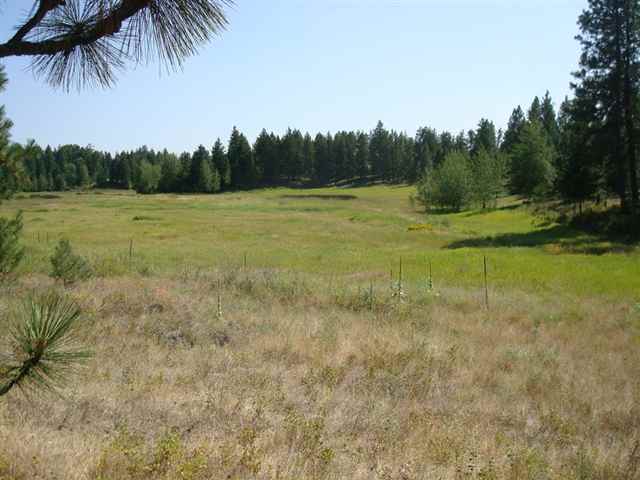 21325 W Four Mound Rd - Photo 9