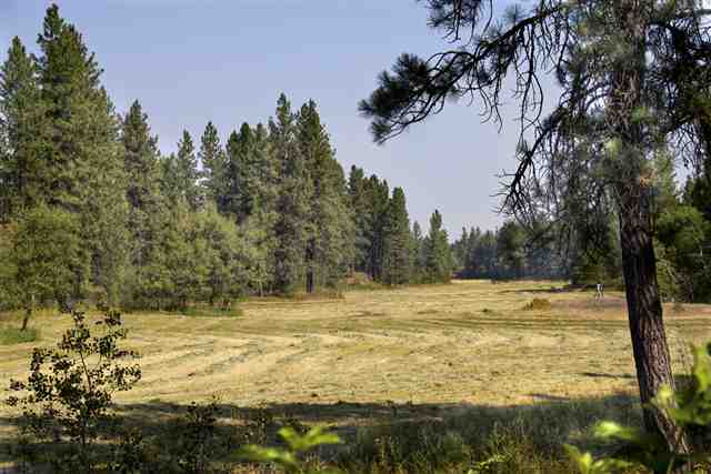 5010 W Cameron Road - Photo 11