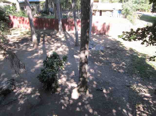 3315 E 15th Ave - Photo 9