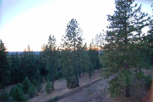 10107 N Wieber Dr - Photo 4