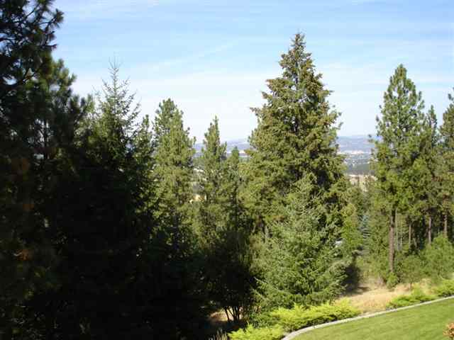 14915 E Aurora Ln - Photo 9