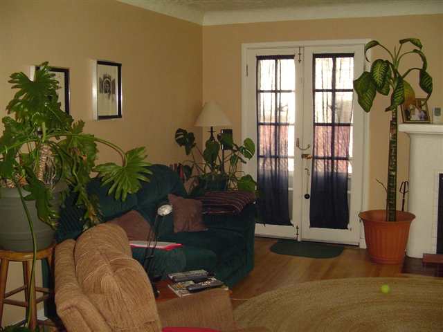 4315 N WALNUT St - Photo 4