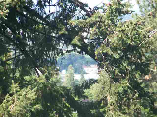 1811 E 18th Ave - Photo 7