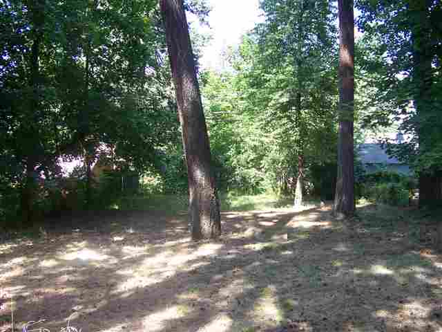 1811 E 18th Ave - Photo 8