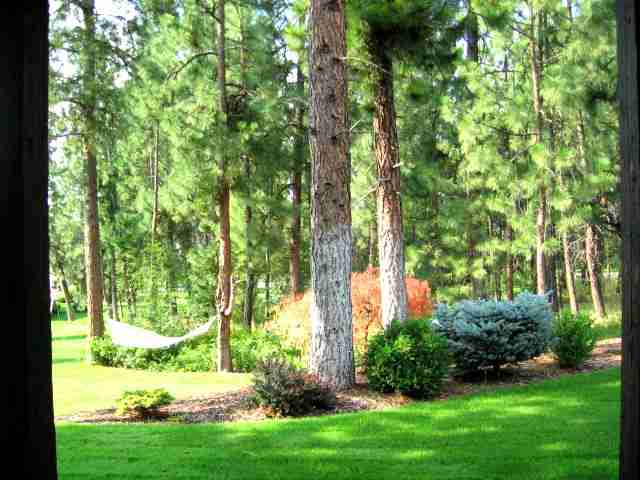 4339 S Greystone Ln - Photo 9