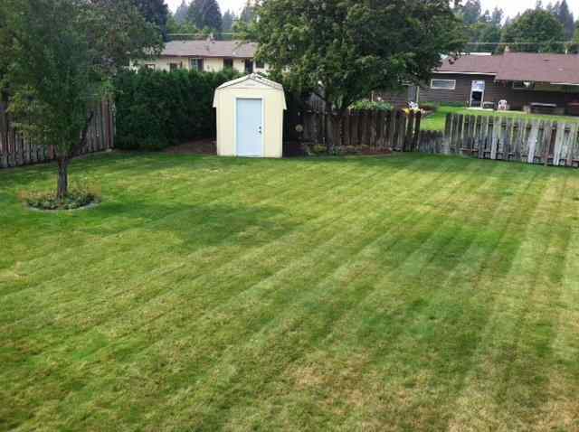 1822 S Davis Rd - Photo 8