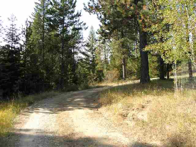 2092 Veit Springs Lane - Photo 4
