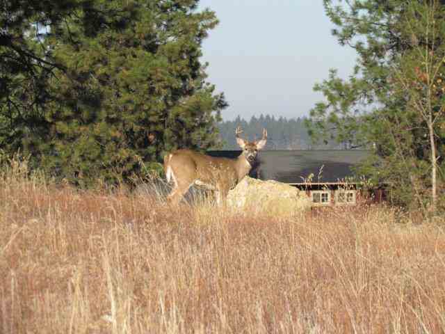 13412 E Copper River Ln - Photo 7