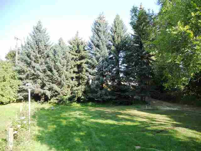 204 W King Ave - Photo 8