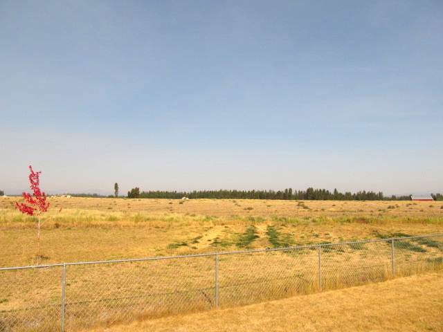 7220 W Wild Rose Rd - Photo 8