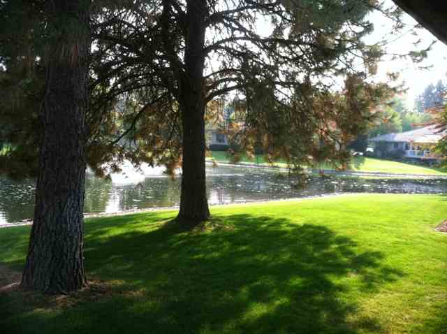 5112 S Woodfield Ln - Photo 8
