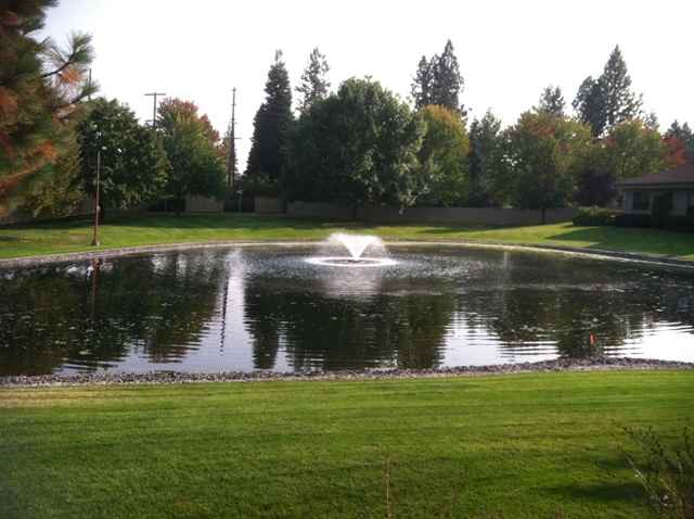 5112 S Woodfield Ln - Photo 9