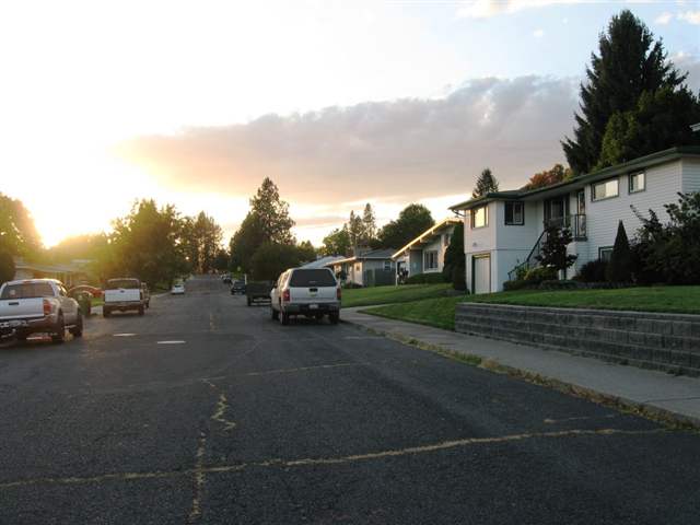 2303 W Rosewood Avenue - Photo 6