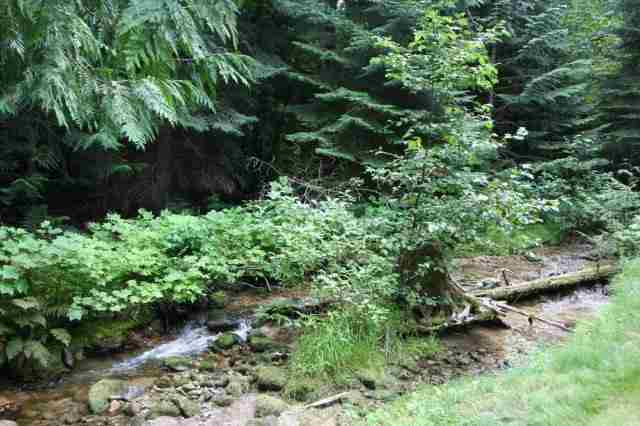 33921 N Blanchard Creek Rd - Photo 7