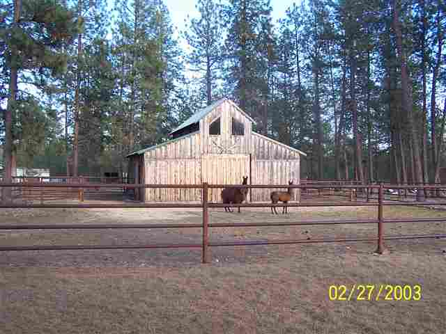 7725 Highway 291 - Photo 7