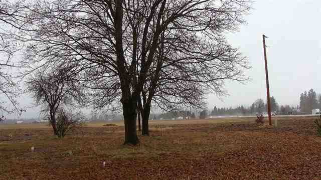 4508 S Hwy 395 - Photo 6