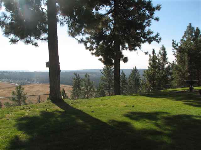 8302 N Forest Ct - Photo 3