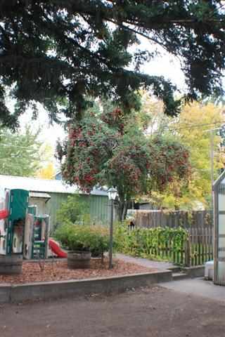 1528 E 10th Ave - Photo 9