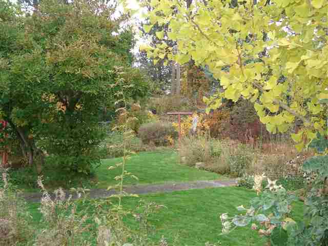 1622 S McCabe Rd - Photo 5