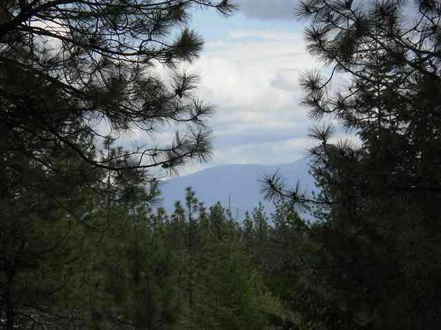21420 N Pease Hill Rd - Photo 8