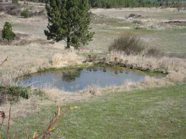 16722 W Charles Rd - Photo 8