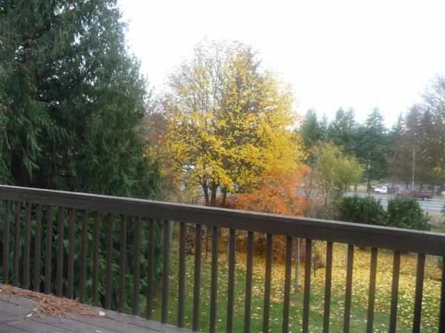 12909 3rd St - Photo 9