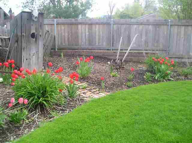 4116 N Farr Rd - Photo 8