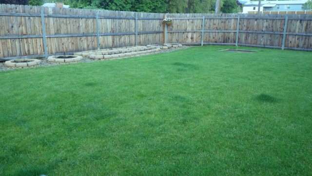 1117 S BURNS Rd - Photo 9