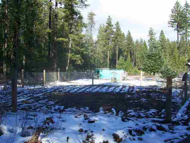 183 Cottage Rd - Photo 6