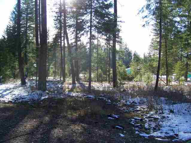 183 Cottage Rd - Photo 8