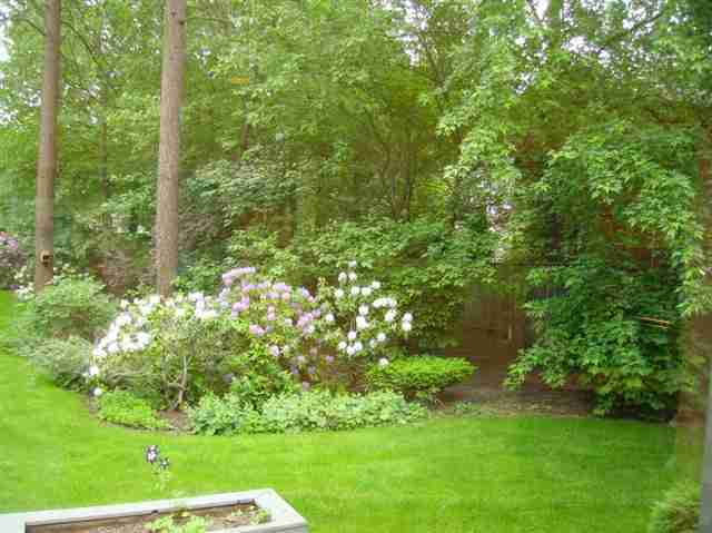 1834 E Thurston Ave - Photo 3