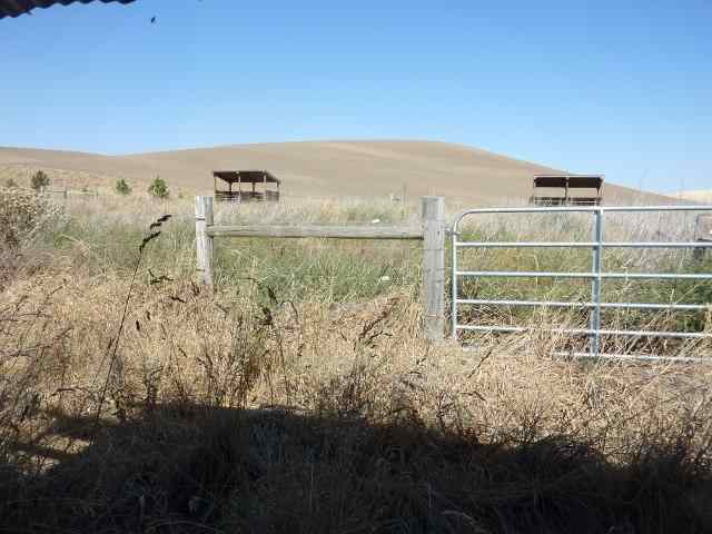 3551 Cashup Flat Rd - Photo 6