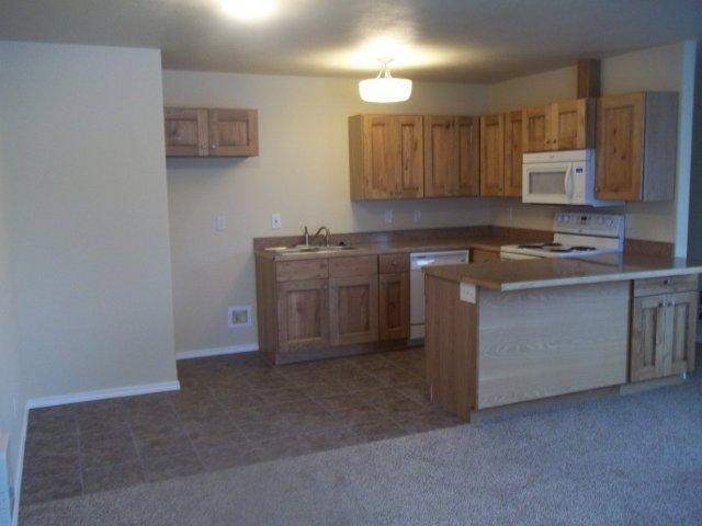 2531 W Wabash - Photo 4