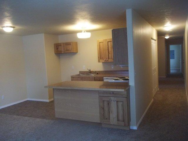 2531 W Wabash - Photo 5