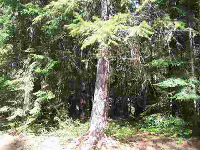 241 ROBARGE  N Rd - Photo 18