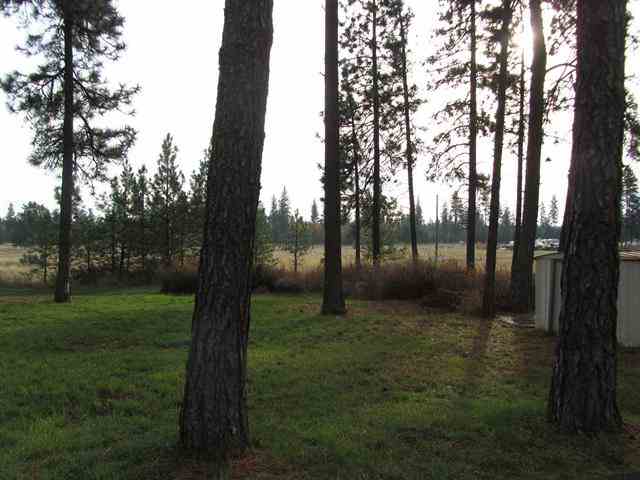 22126 W Hill Ln - Photo 14