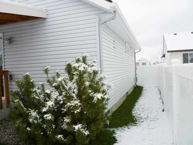 1709 W Briar Ln - Photo 20