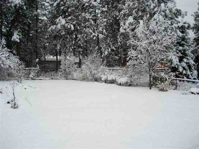 2730 E 11th - Photo 10