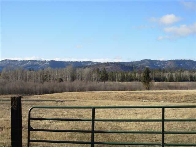 4454 Hwy 395 - Photo 8