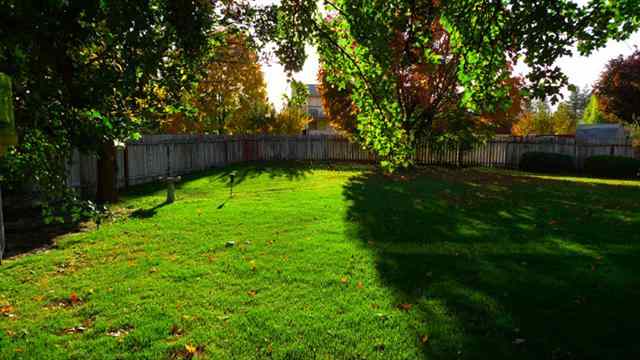 4905 W Lamar Ave - Photo 11