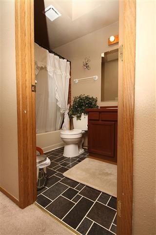 4905 W Lamar Ave - Photo 7