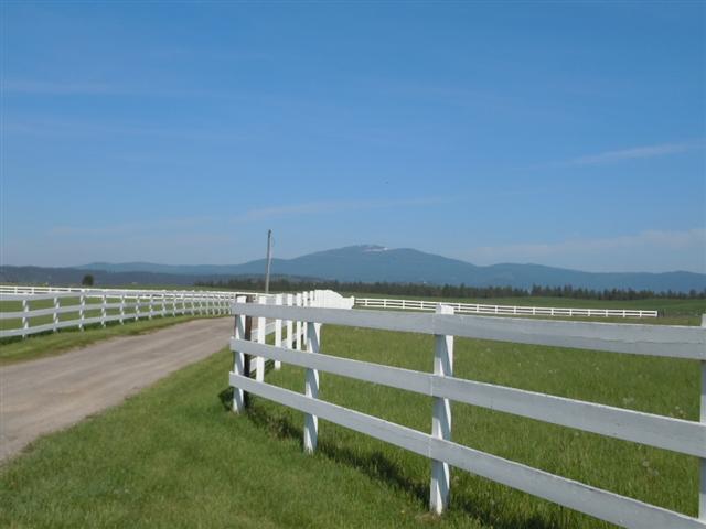 30125 N Perry Rd - Photo 3
