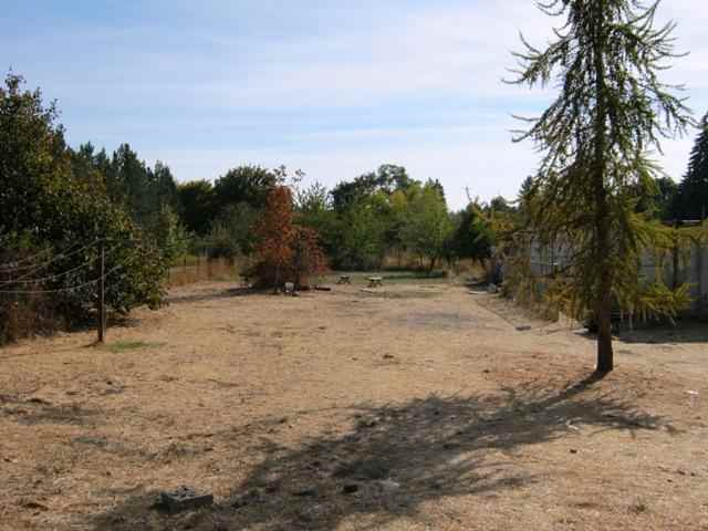12812 E 4th Ave - Photo 7