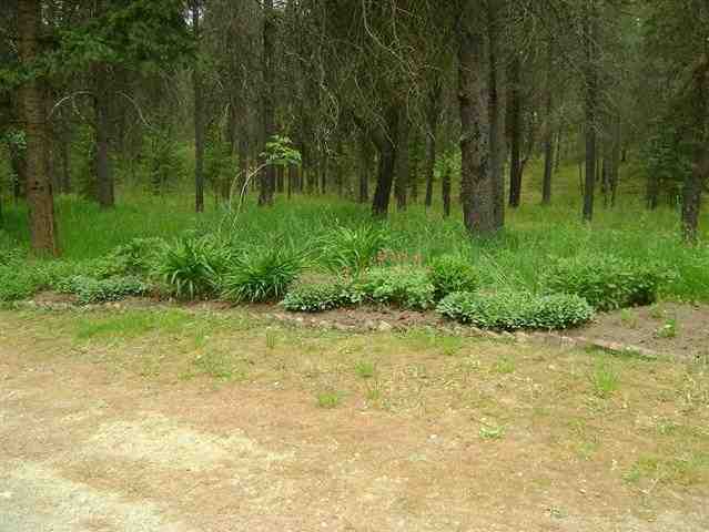 4602 W Staley Rd - Photo 12