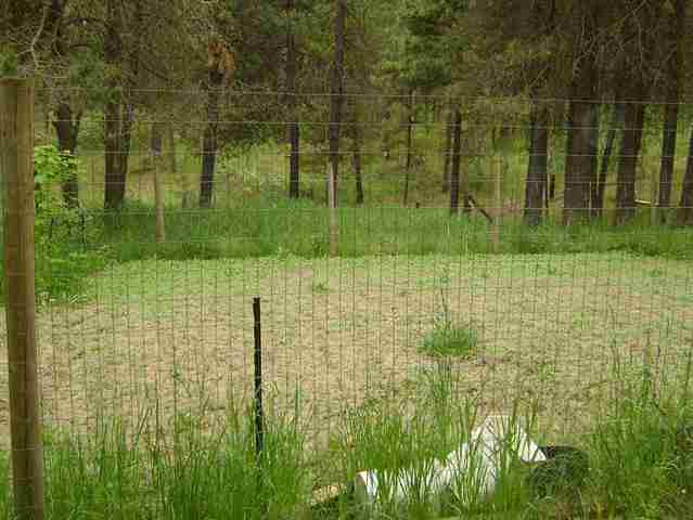 4602 W Staley Rd - Photo 14