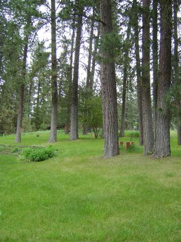 4602 W Staley Rd - Photo 9