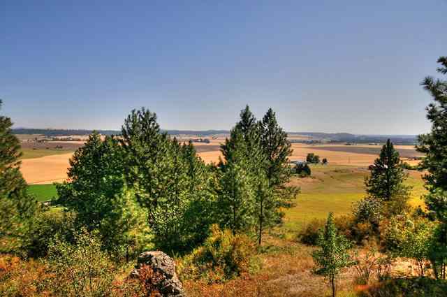 16121 N Day Mt Spokane Rd - Photo 9