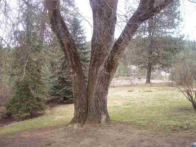 9202 E Elk to Hwy Rd. - Photo 12